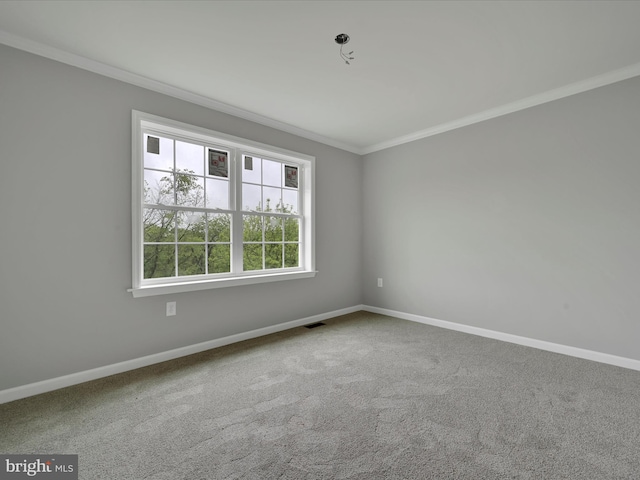 864 Wynonah Dr, Auburn, PA 17922 - unfurnished room with ornamental molding, baseboards, and carpet