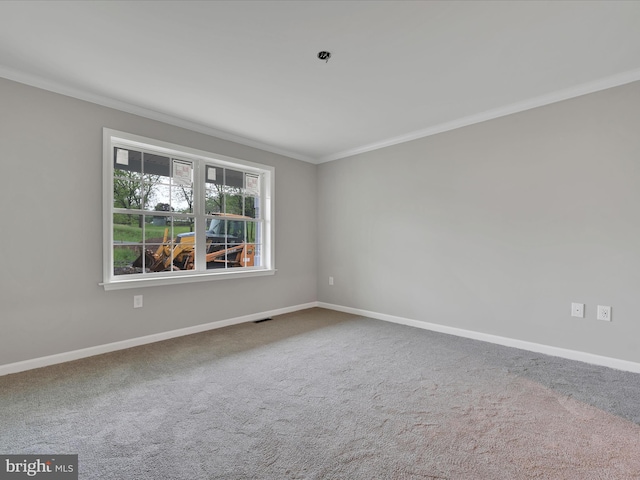 864 Wynonah Dr, Auburn, PA 17922 - carpeted spare room with crown molding and baseboards