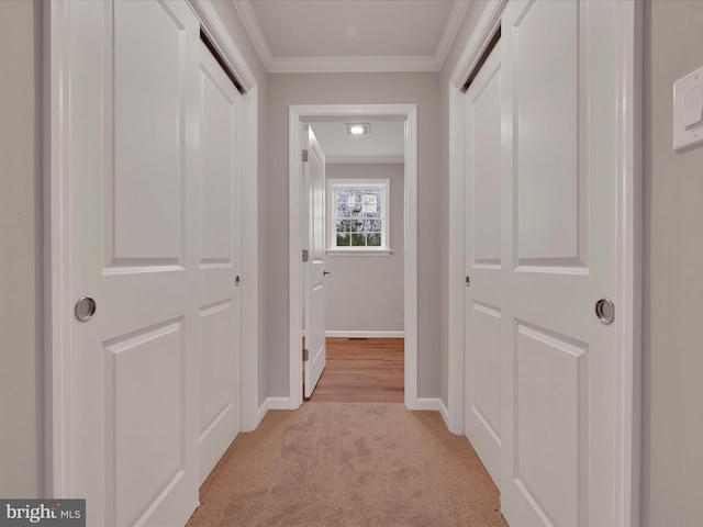864 Wynonah Dr, Auburn, PA 17922 - corridor featuring ornamental molding, light carpet, and baseboards
