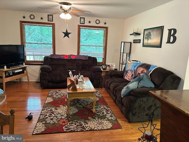 830 Western Ln, Front Royal, VA 22630 - living room with healthy amount of natural light, wood finished floors, and ceiling fan