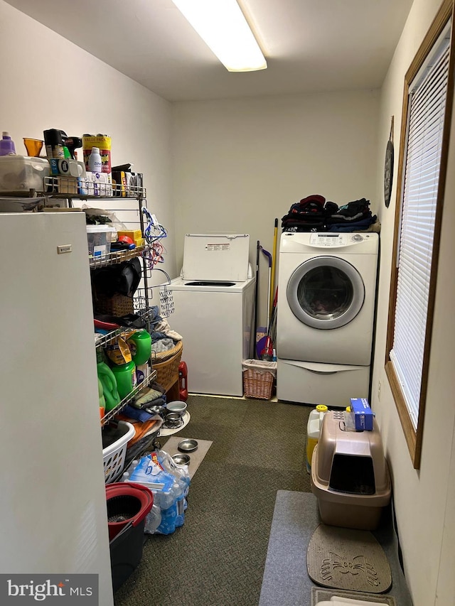 830 Western Ln, Front Royal, VA 22630 - washroom with carpet floors and washer and dryer