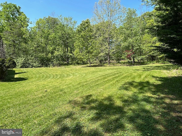 830 Western Ln, Front Royal, VA 22630 - view of green lawn