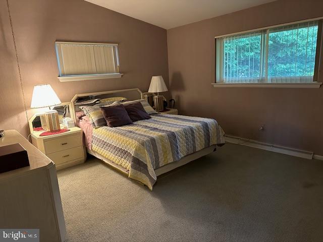 100 W Ave, Hanover, PA 17331 - bedroom with vaulted ceiling, light carpet, and baseboard heating