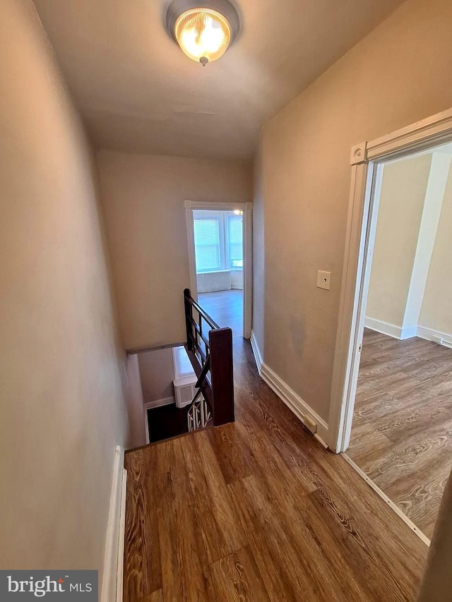 126 N Sickels St, Philadelphia, PA 19139 - corridor with wood finished floors and baseboards