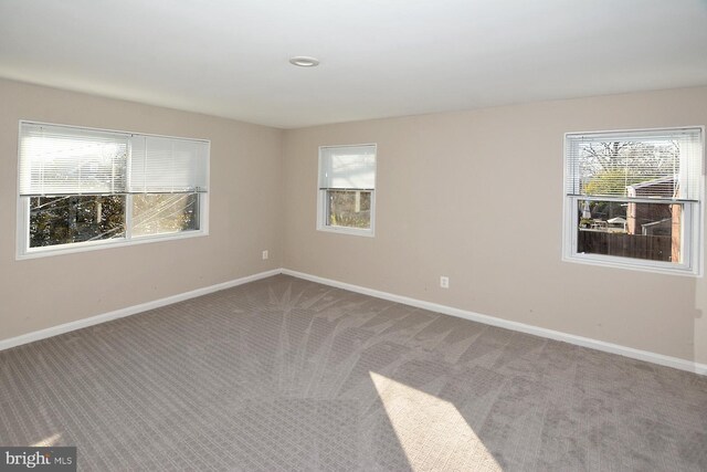 2626 12th St S Unit 1, Arlington, VA 22204 - carpeted empty room featuring plenty of natural light and baseboards