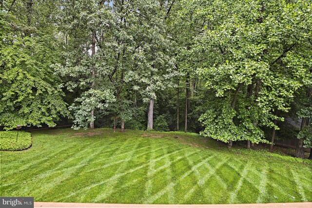 11904 Paradise Ln, Herndon, VA 20171 - view of grassy yard