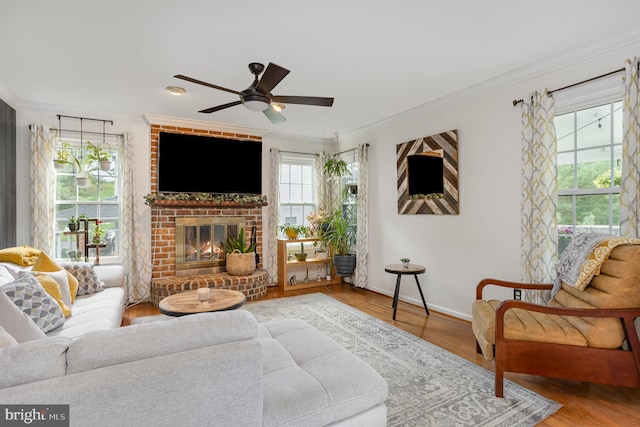 1015 E Macphail, Bel Air, MD 21015 - living room featuring ornamental molding, ceiling fan, baseboards, wood finished floors, and a fireplace