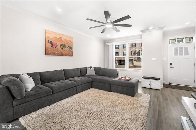 6034 Goshawk St, New Market, MD 21774 - living room with ornamental molding, plenty of natural light, dark wood finished floors, a ceiling fan, and baseboards