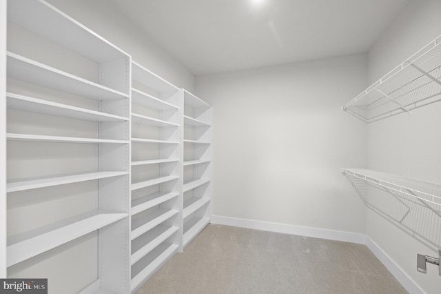 walk in closet with carpet