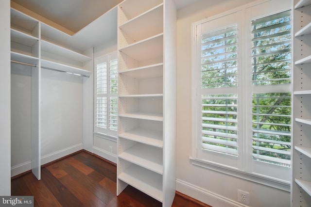 43582 Old Kinderhook Dr, Ashburn, VA 20147 - walk in closet featuring dark wood-style flooring