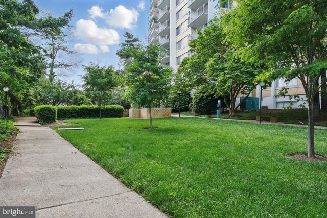 view of green lawn