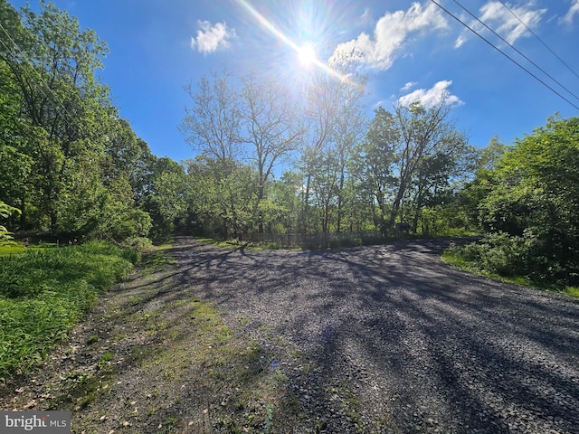 3450 Middle Ridge Rd, Newport, PA 17074 - view of dirt / gravel road with a wooded view