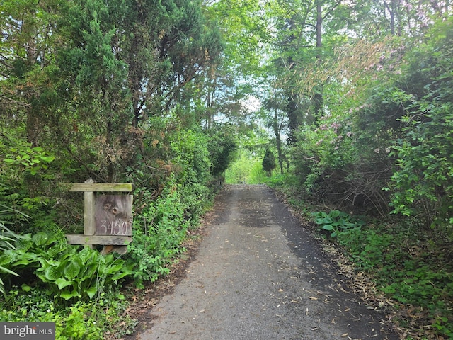 3450 Middle Ridge Rd, Newport, PA 17074 - view of road