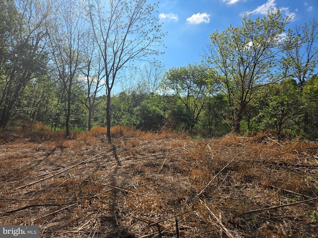 3450 Middle Ridge Rd, Newport, PA 17074 - view of tree filled area