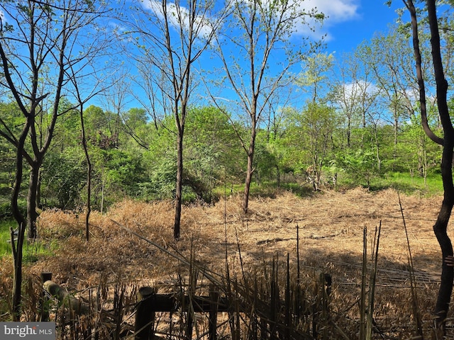 3450 Middle Ridge Rd, Newport, PA 17074 - view of local wilderness