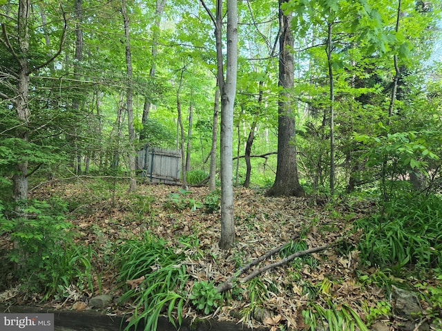 3450 Middle Ridge Rd, Newport, PA 17074 - view of yard