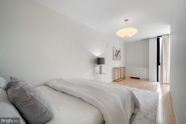 1250 4th St SW Unit W203, Washington, DC 20024 - bedroom featuring light wood-style floors