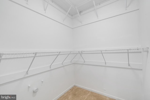 1250 4th St SW Unit W203, Washington, DC 20024 - walk in closet featuring light colored carpet