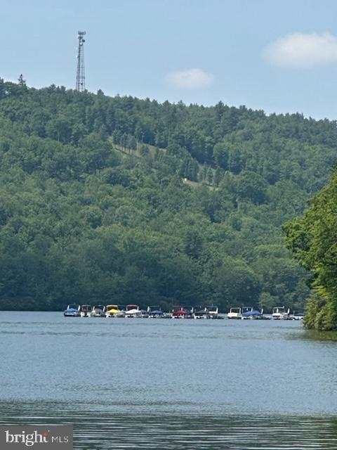 water view featuring a heavily wooded area
