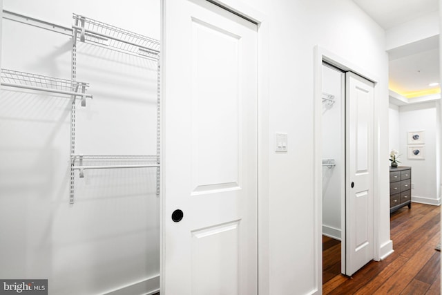 spacious closet with dark wood-type flooring