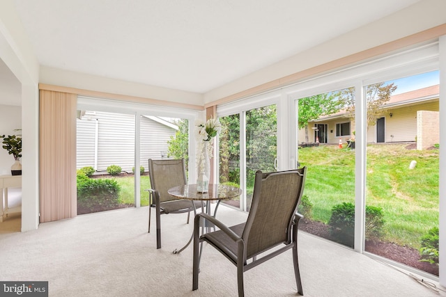 sunroom / solarium with carpet flooring