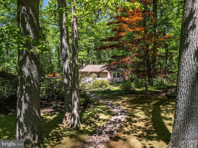view of front of home featuring a view of trees