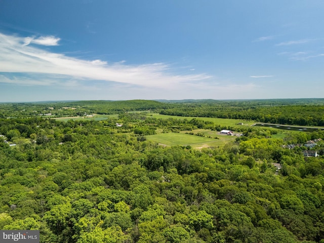 2667 Furlong Rd, Doylestown, PA 18902 - aerial view of a forest