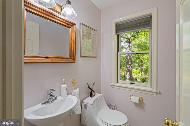 half bath featuring a sink and toilet
