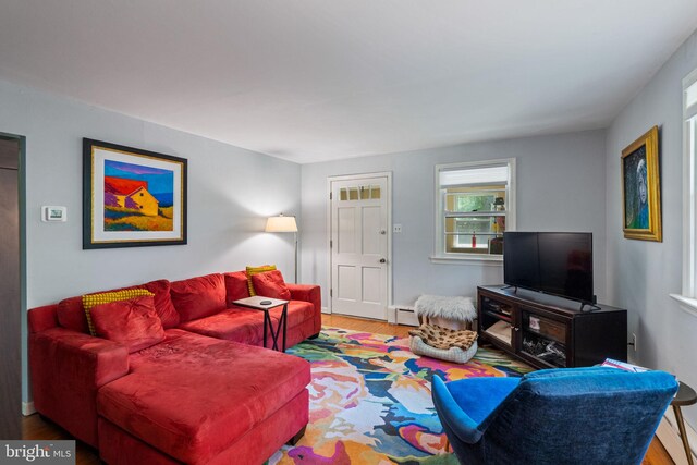 living room featuring wood finished floors and a baseboard radiator