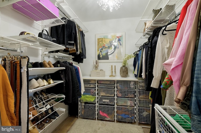 spacious closet featuring wood finished floors