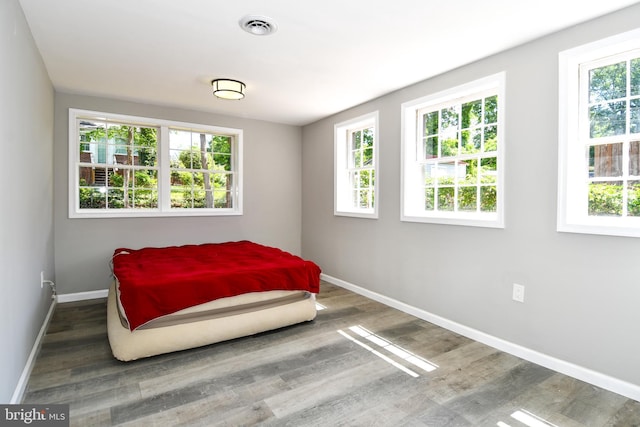 1210 Lindsay Rd, Oxon Hill, MD 20745 - bedroom with baseboards, wood finished floors, and multiple windows