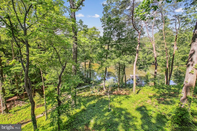 1233 Boucher Ave, Annapolis, MD 21403 - view of yard