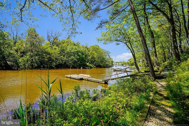 1233 Boucher Ave, Annapolis, MD 21403 - dock featuring a water view