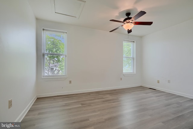 spare room with healthy amount of natural light, light wood finished floors, a ceiling fan, and attic access