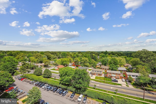 aerial view of a forest