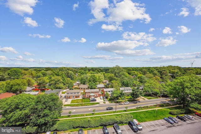 aerial view of a forest