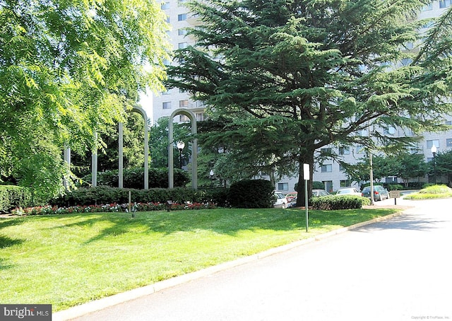 view of front of property with a front lawn