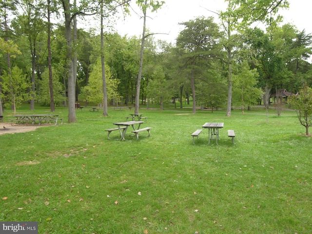 view of property's community with a lawn