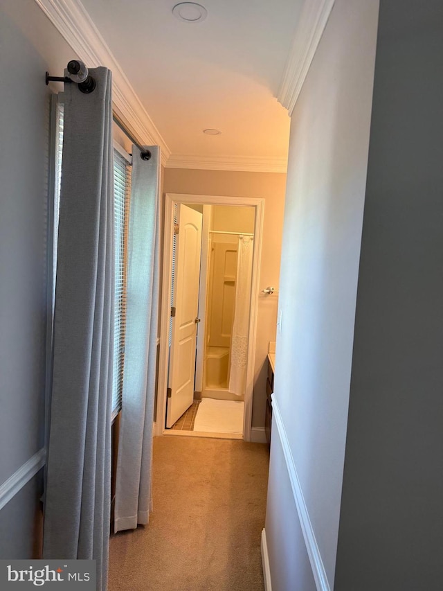 corridor featuring ornamental molding and carpet floors