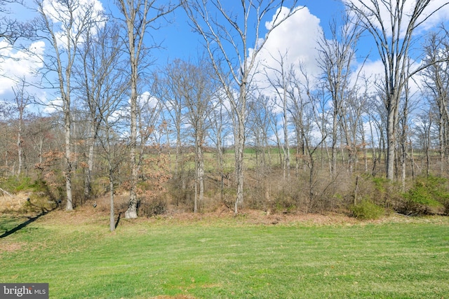 4108 Brushfield Dr, Frederick, MD 21704 - view of grassy yard