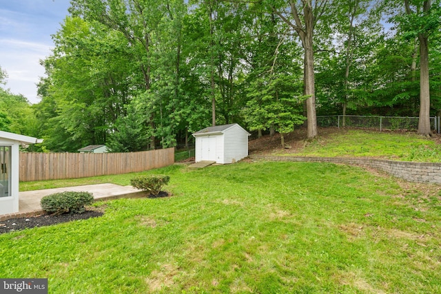 view of yard with a patio, a storage shed, and an outbuilding
