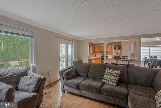 living room with a textured ceiling, light wood-style flooring, and crown molding