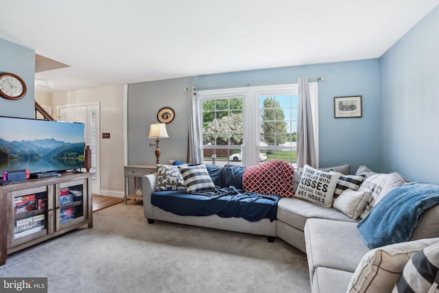 living area with carpet