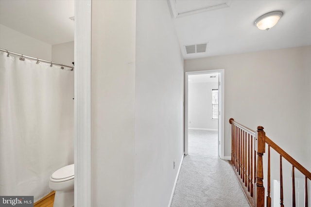 146 Connery Ter SW, Leesburg, VA 20175 - bathroom with toilet, baseboards, and a shower with shower curtain