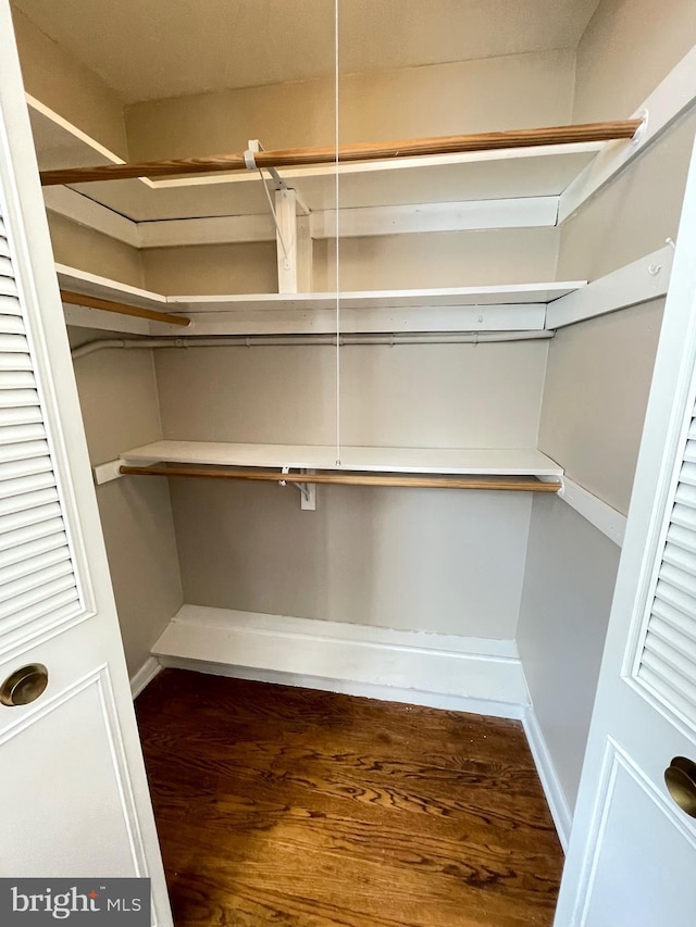 walk in closet featuring wood finished floors