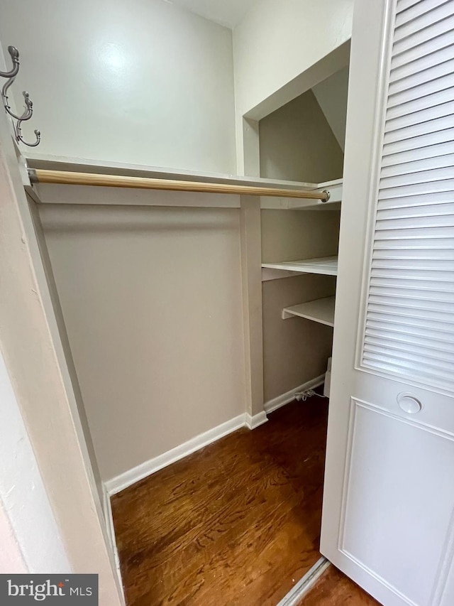 walk in closet featuring dark wood finished floors