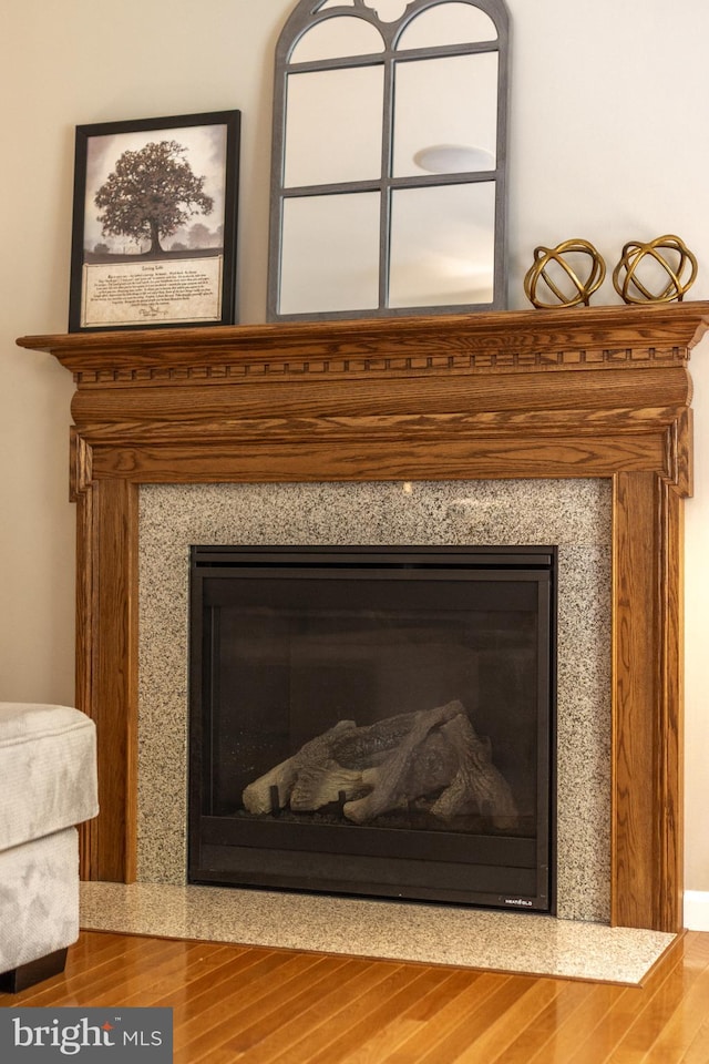 detailed view of a premium fireplace and wood finished floors