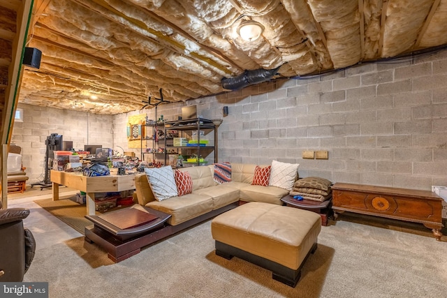 unfinished below grade area with concrete block wall