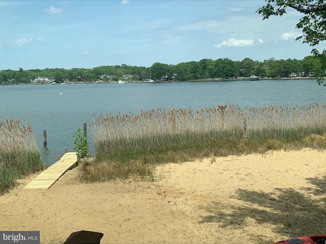 water view with a dock