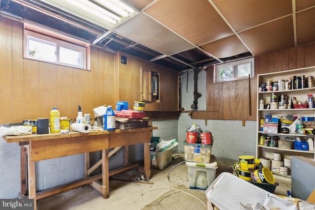 below grade area featuring concrete block wall and wooden walls